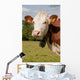 Montbeliarde Cow and His Wall Mural