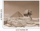 Sphinx Wall Mural