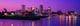 Baltimore Skyline Wall Decal