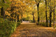 Lazienki Royal Park Wall Decal