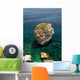 Rocher Corse Wall Decal