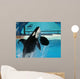 Male Killer Whale Breaches in Oceanarium Show Wall Mural