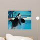 Male Killer Whale Breaches in Oceanarium Show Wall Mural