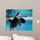 Male Killer Whale Breaches in Oceanarium Show Wall Mural