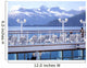 View From the Deck Wall Mural