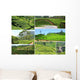 Cultures Wall Decal