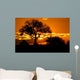 kruger park Wall Mural