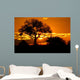 kruger park Wall Mural