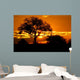 kruger park Wall Mural