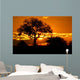 kruger park Wall Mural