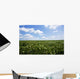 Soybean Field Wall Decal