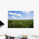 Soybean Field Wall Decal