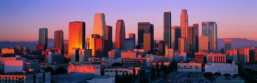 Los Angeles Skyline 1 Wall Decal