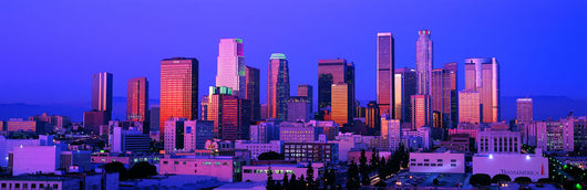 Los Angeles Skyline 2 Wall Decal
