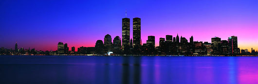 New York City Skyline 1 Wall Mural