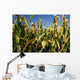 Mais Wall Mural