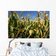 Mais Wall Mural