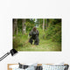 Gorille Wall Mural