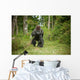 Gorille Wall Mural
