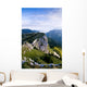 Mountain of Chartreuse in the French Alps Wall Mural
