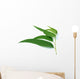 some eucalyptus leaves Wall Decal
