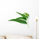 some eucalyptus leaves Wall Decal