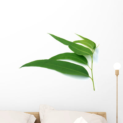 Some Eucalyptus Leaves Wall Decal shown on a wall