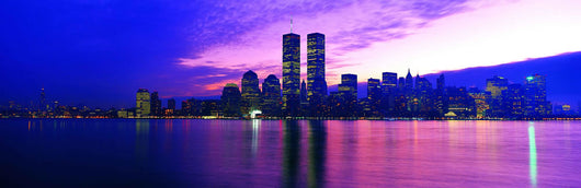 New York City Skyline 9 Wall Mural