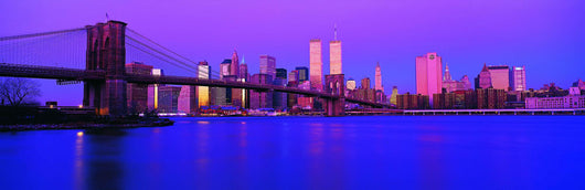 New York City Skyline with the Brooklyn Bridge 2 Wall Mural