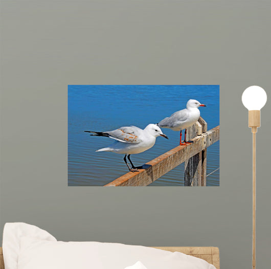Gulls Wall Mural