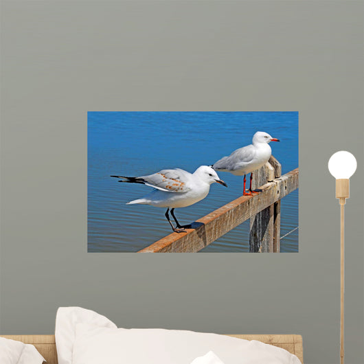 Gulls Wall Mural
