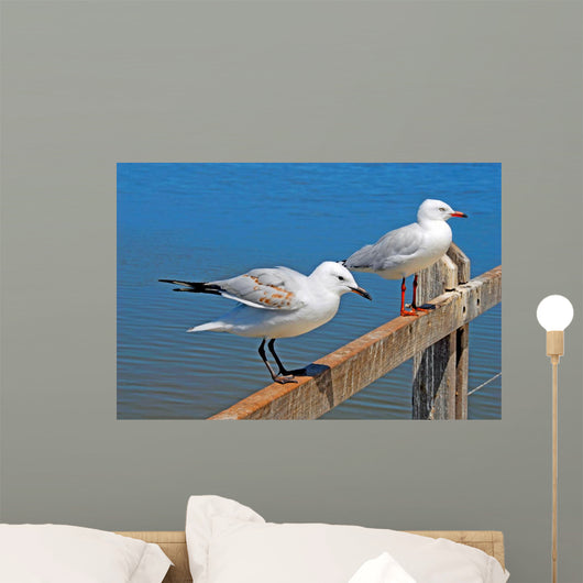 Gulls Wall Mural
