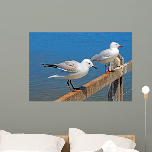Gulls Wall Mural