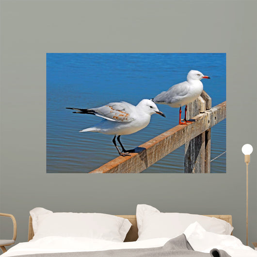 Gulls Wall Mural