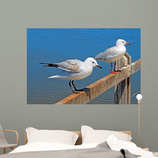 Gulls Wall Mural