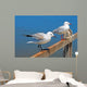 Gulls Wall Mural