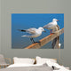 Gulls Wall Mural