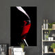 GLASS OF RED WINE Wall Mural