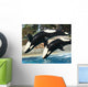 Mother Orca and Her Calf Wall Mural