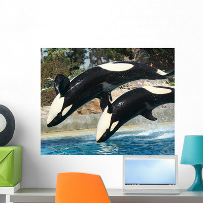 Mother Orca and Her Wall Mural shown on a wall