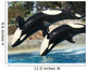 Mother Orca and Her Calf Wall Mural