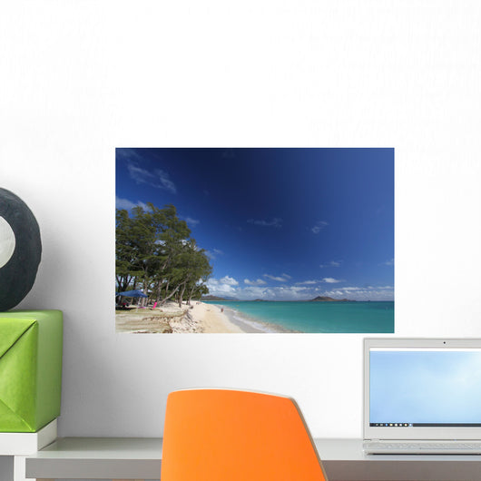 Hawaii Oafu Kailua Beach Wall Mural