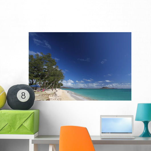 Hawaii Oafu Kailua Beach Wall Mural