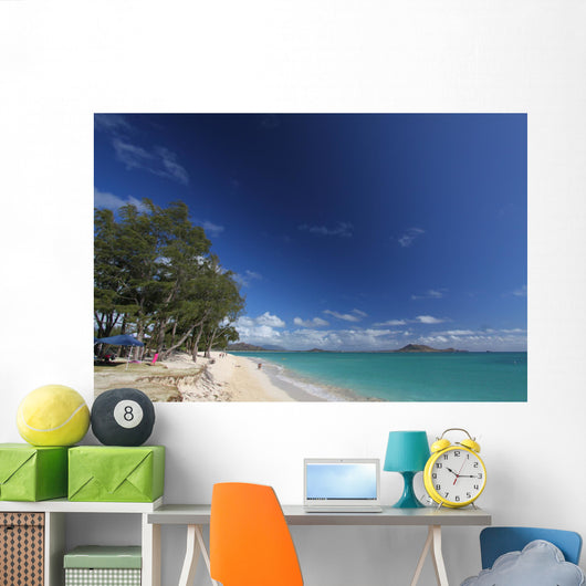 Hawaii Oafu Kailua Beach Wall Mural