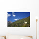Material Wall Decal