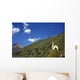 Material Wall Decal