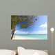 Hawaii Oahu Kailua Beach Wall Mural