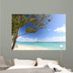 Hawaii Oahu Kailua Beach Wall Mural
