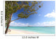 Hawaii Oahu Kailua Beach Wall Mural