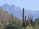 Superstition Mountains Wall Decal